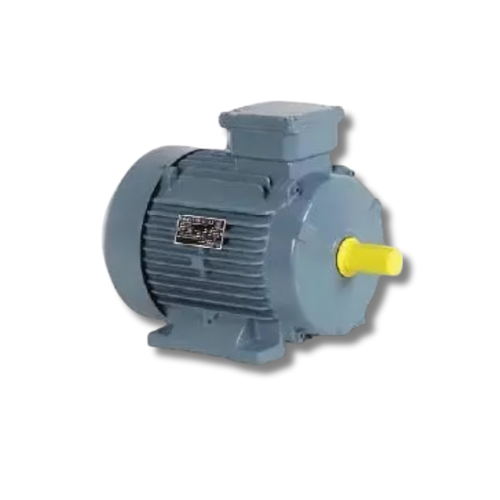 jayamurugan agencies -authorized dealers of havells motors IE2 Foot Mounted Motors