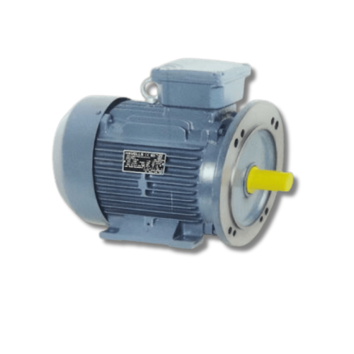 jayamurugan agencies -authorized dealers of havells motors Foot Cum Flange Motor