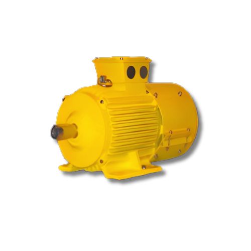 jayamurugan agencies -authorized dealers kirloskar V Motors: Crane Duty Cage Motors